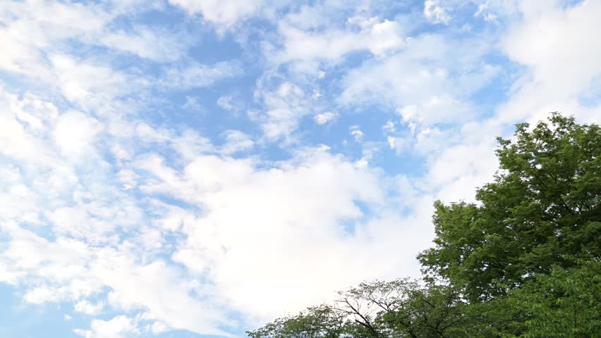 A cloudy sky above the trees