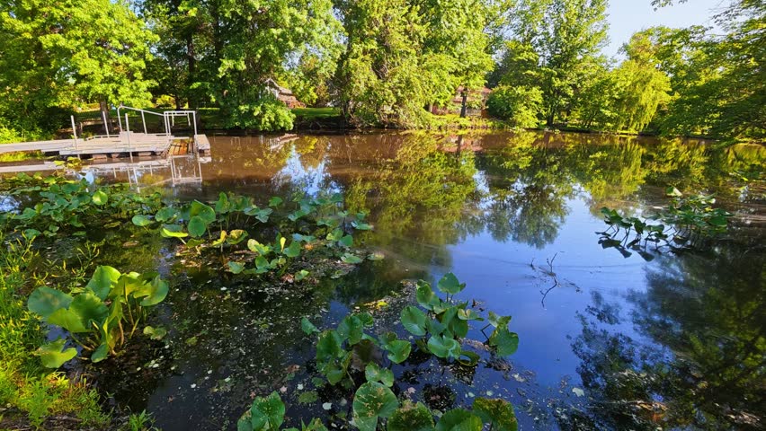 2026.06.01. Mill Pond Park, Plainsboro, NJ, USA