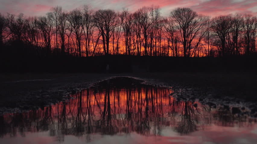 Beautiful Scenic sunset over the forest reflected on the water pond