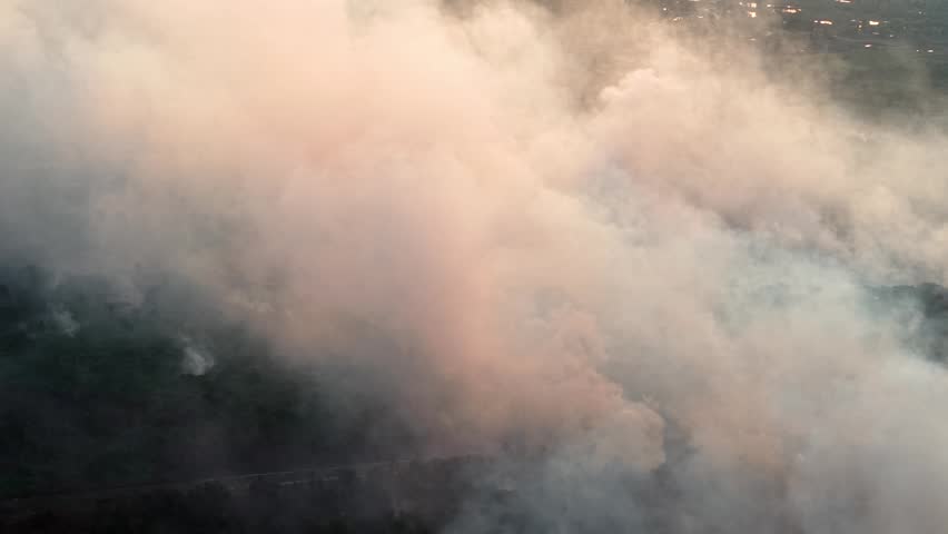 Thick smoke rises over dark green trees. Pinkish hue bathes the haze in twilight light