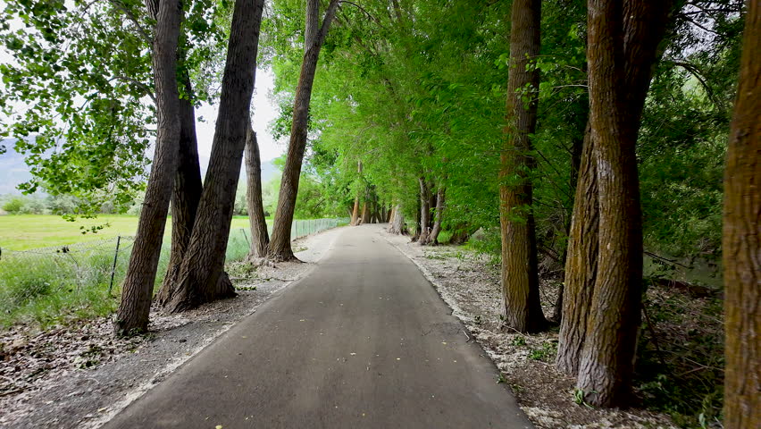 View moving down the Provo River trail in the Spring as leaves blow in slow motion.