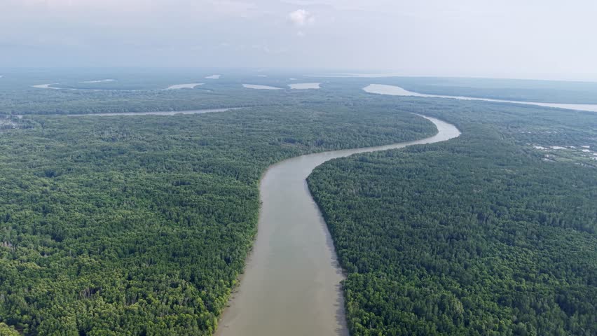 Aerial view of mangrove forest and winding river at Kuala Gula, Malaysia.
