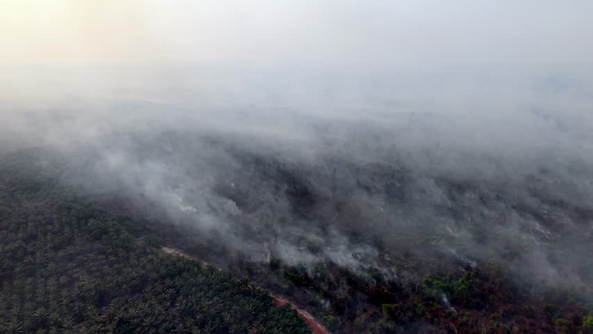 Smoke rises over dense forest canopy. Grey clouds drift across darkened trees. Winding path cuts through the smoky haze
