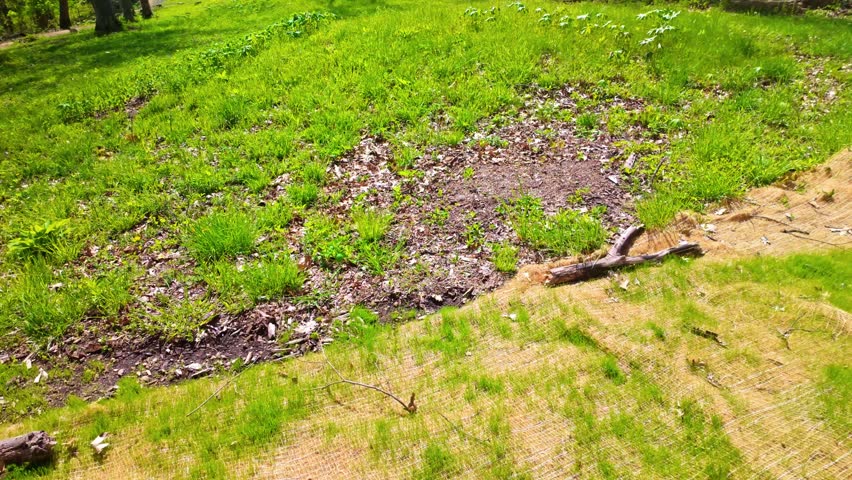 View of Great Bear Mound at Effigy Mounds National Monument in Iowa natural landscape.