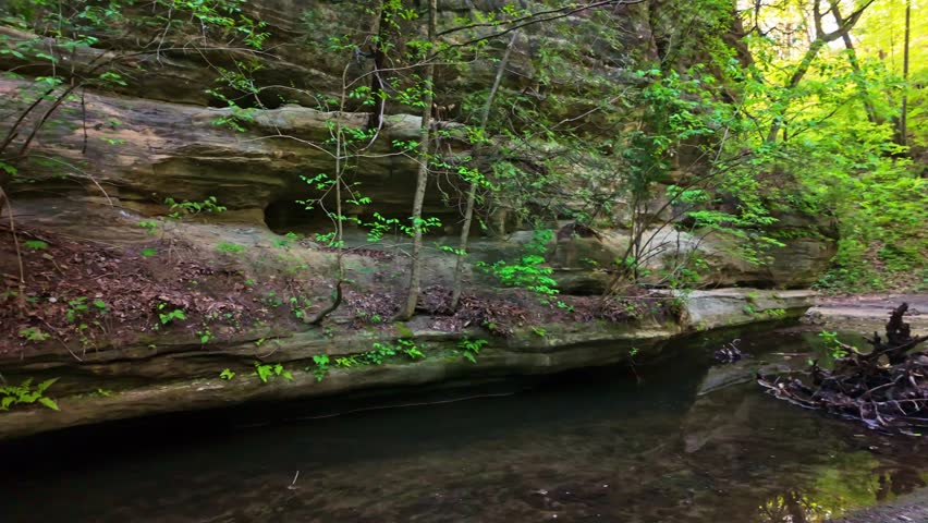 Scenic view of a creek running through a sandstone canyon in Matthiessen State Park Illinois