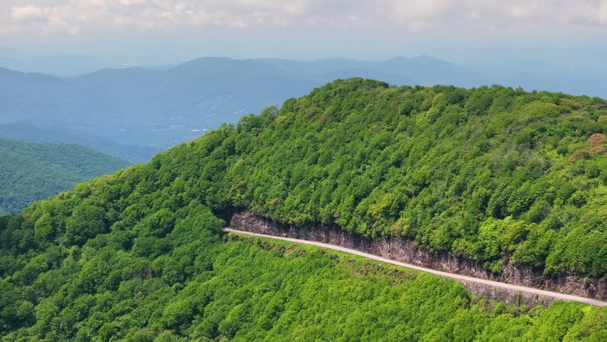 Blue Ridge Parkway road in summer woods of Appalachian mountains with green canopies in colorful forest. Road trip driving in wild nature in summertime season.