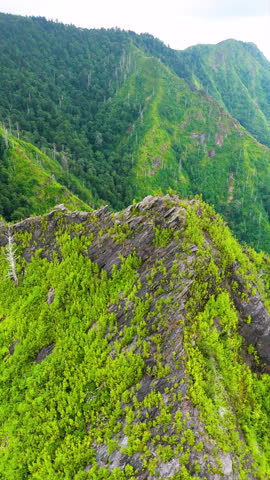 Nature landscape of Tennessee with Chimney Tops peaks in Appalachian mountains. Mountain forest with green canopies in summer season.