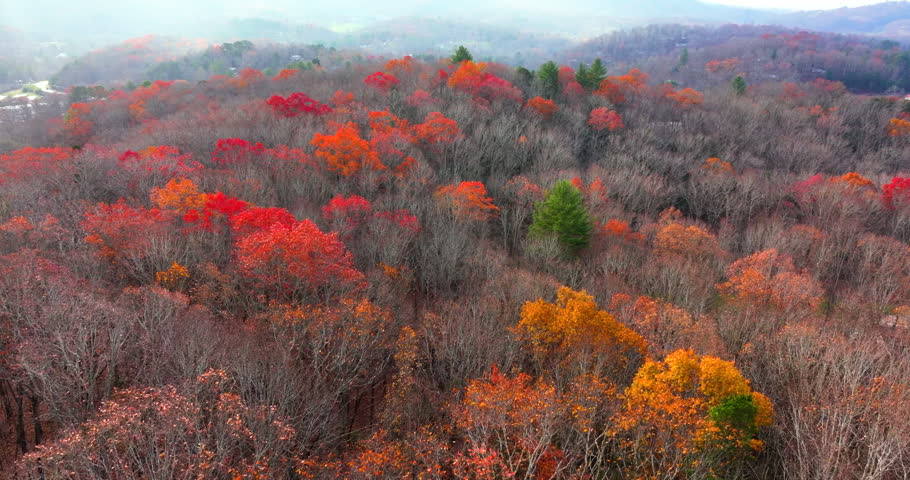 Colorful forest landscape of Appalachian mountain hills in fall season. Yellow and orange canopies create vibrant autumn scenery