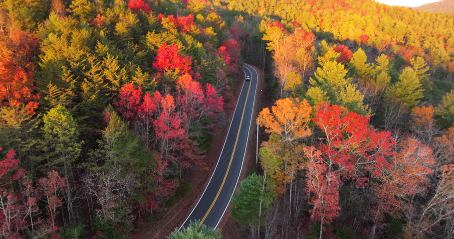 Car driving along mountain road surrounded by colorful autumn trees in Tennessee. Scenic road trip through the Appalachians in fall season