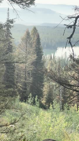 Vertical summer footage captured in Glacier National Park, Montana, USA.