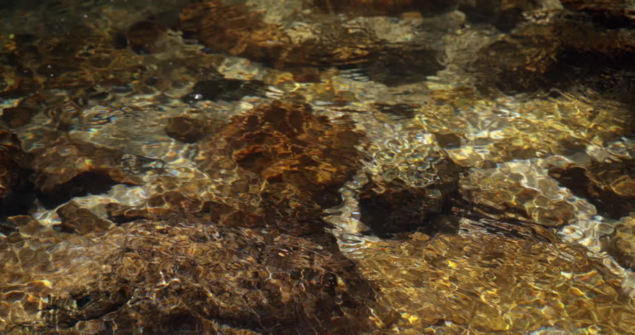 Slow motion of Serene freshwater stream with visible stones under water.