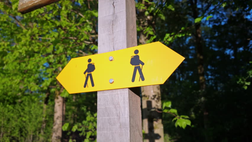 Yellow directional sign with two hiker icons mounted on wooden post in a sunlit forest. Motion towards,