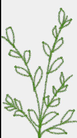 Vertical Video Backgrounds featuring Abstract Green Botanical Leaves Animation of Hand Drawn Branch