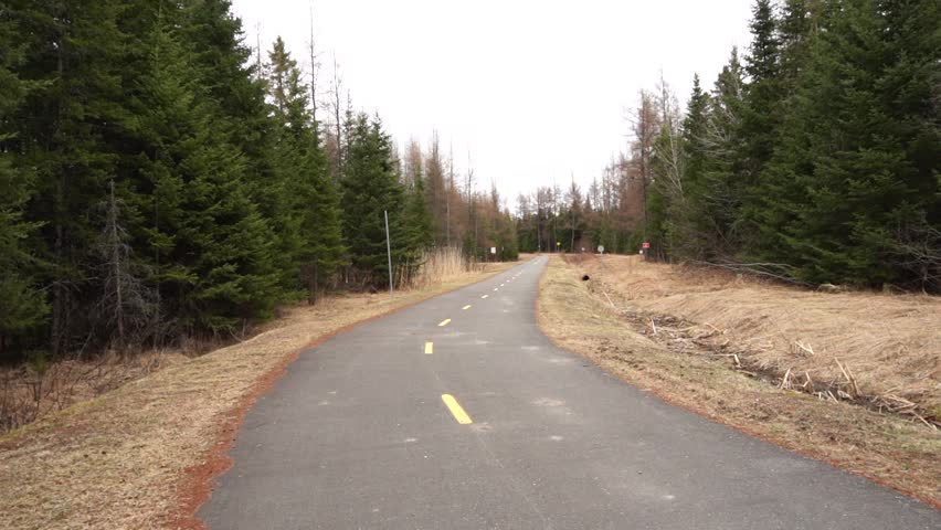 A scenic paved recreational bike path winding through a coniferous forest and open grasslands, captured on an overcast spring day.