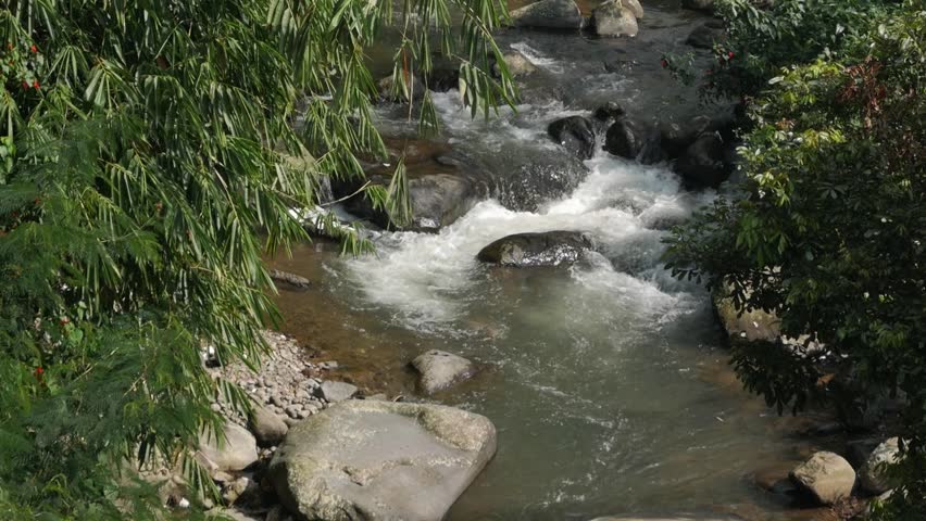 A serene horizontal scenery of a rocky river stream flowing beautifully in slow motion through a dense green forest on a bright day.