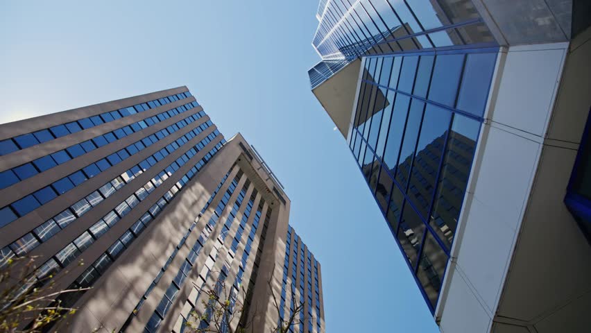 A point of view looking up at tall skyscrapers in Downtown Halifax. The branches of trees blend with modern buildings