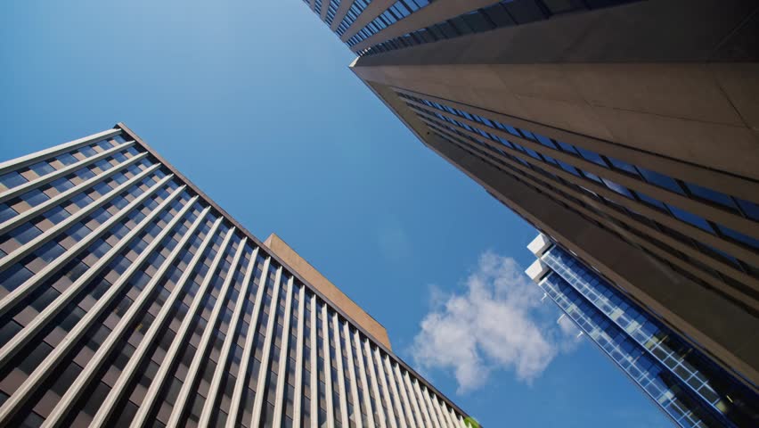A point of view of tall skyscrapers with tree branches in the Downtown area of Halifax, Nova Scotia. The urban architecture stands out against the blue sky