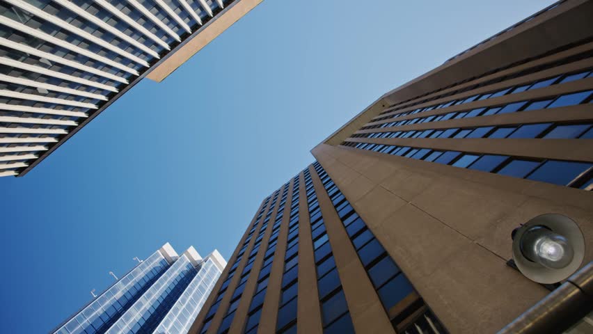 View of modern skyscrapers and tree branches in Downtown Halifax. The tall buildings showcase the urban architecture of the city during a clear day