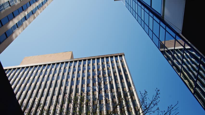 A perspective view of skyscrapers and office buildings in Downtown Halifax. Tree branches frame the urban landscape filled with modern architecture