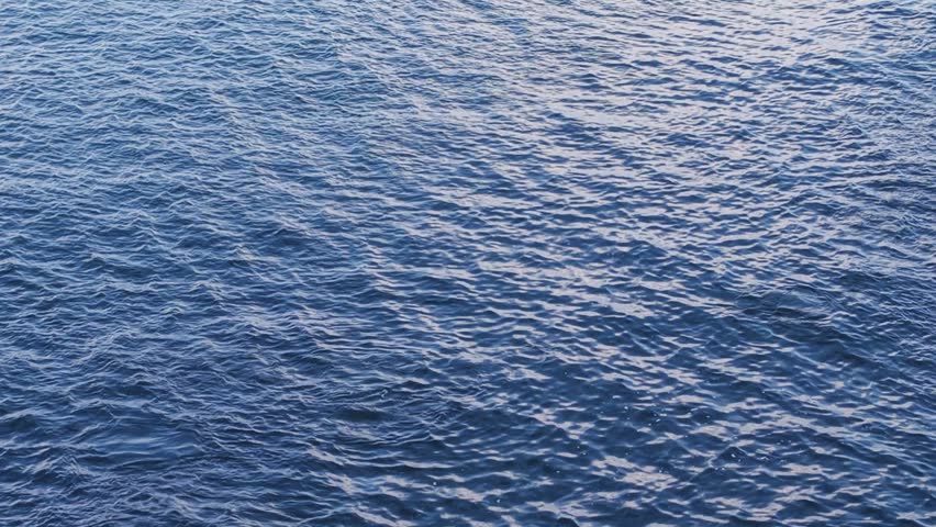Aerial view of a dolphin jumping and creating a splash in the deep blue waters of the Indian Ocean near Makunudhoo, Haa Dhaalu Atoll, Maldives.