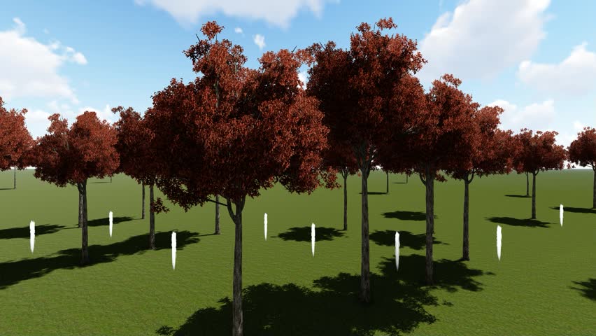 Trees and water fountains in the field