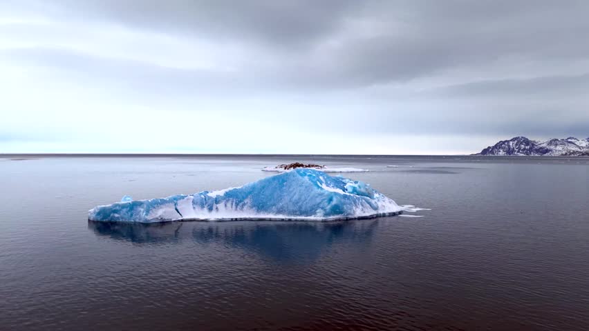 Aerial view of a large blue iceberg floating in calm dark waters with snow-covered mountains under an overcast sky in Tasiilaq, Sermersooq Municipali, Greenland.