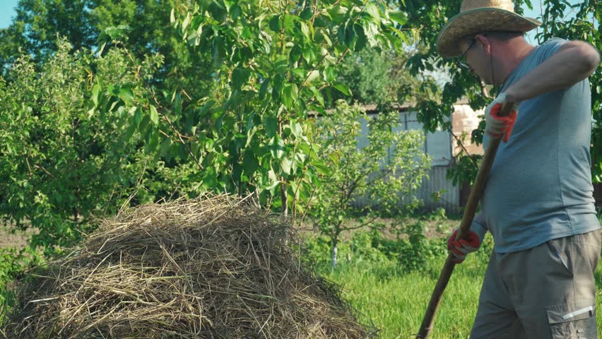 Gardener in a straw hat uses a rake to lift hay from a large pile in a sunny garden, surrounded by lush trees and greenery, emphasizing the ongoing yard maintenance and care