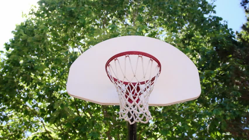 Basketball hoop with green trees background