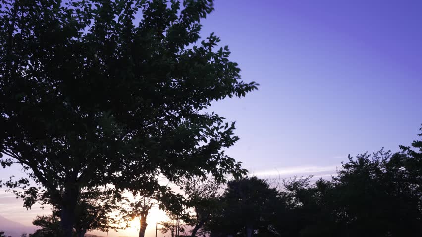 Romantic twilight scene in a park with the setting sun shining through tree leaves and a couple walking in the background