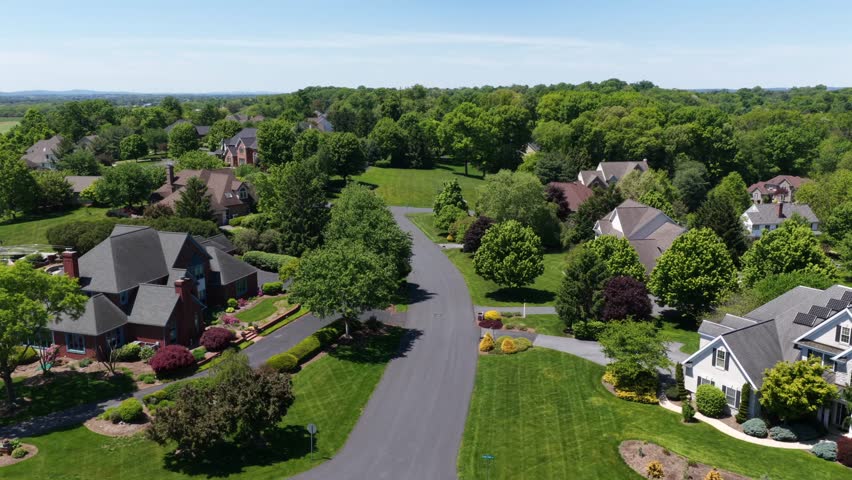 Upscale suburban homes with manicured lawns and circular driveway intersection, dense canopy of mature trees lining quiet street under clear blue summer sky. Pennsylvania, USA. Aerial descend shot.