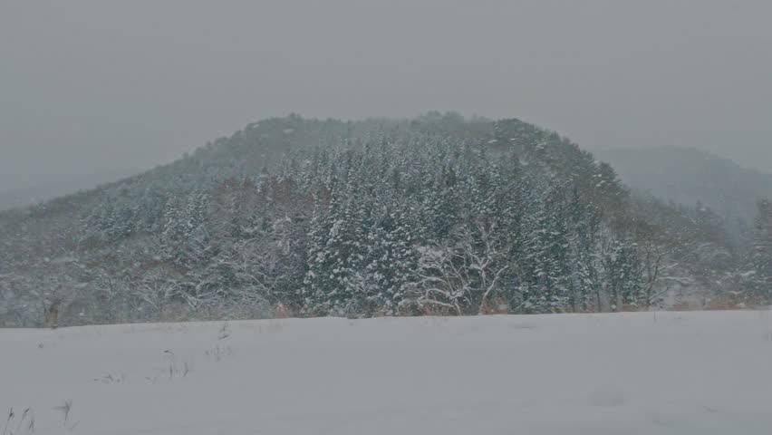 A heavy blizzard softens a wide winter landscape, blurring a snow-covered mountain and row of bare trees behind a veil of falling snow over a flat white field under a pale grey diffused sky.
