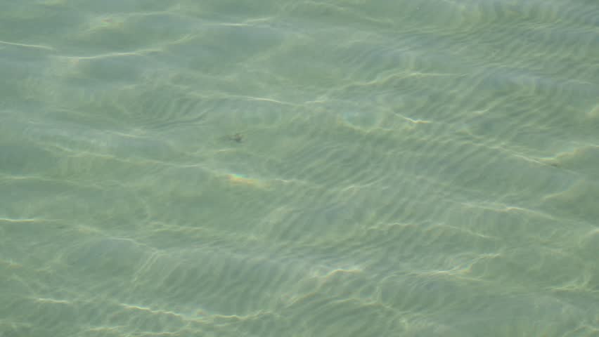 Beautiful high-angle shot of crystal-clear ocean water at Playa de San Lorenzo in Gijón, Spain. Highlights bright sun caustics, ripples, and fine underwater sand patterns on the shallow seabed.