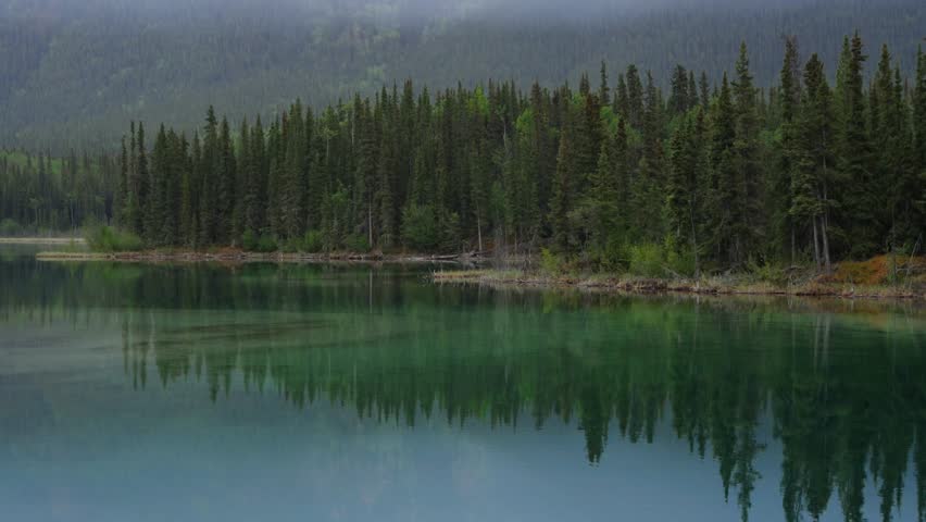 Calm lake water reflecting a line of pine trees in British Columbia, Canada