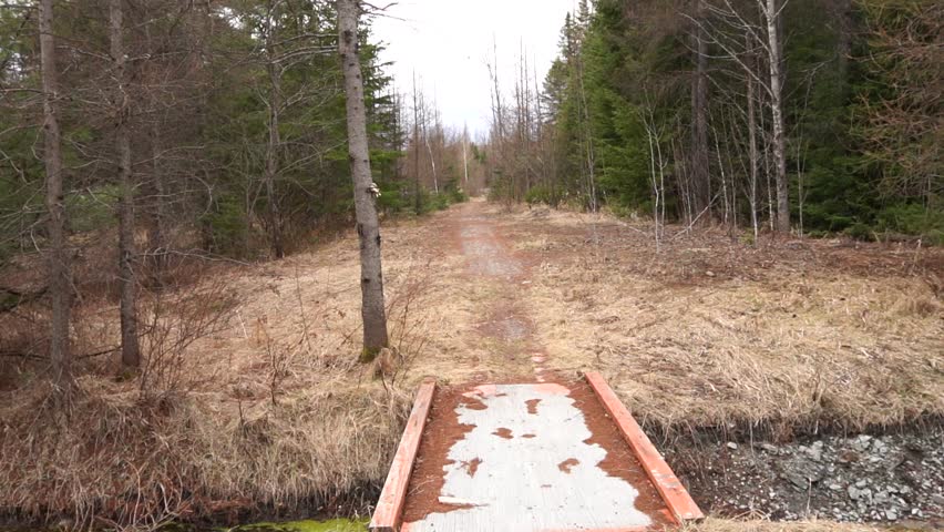 A wooden footbridge transitions into a narrow dirt path stretching through a dormant forest landscape with dry grass, evergreens, and slender trees in early spring.