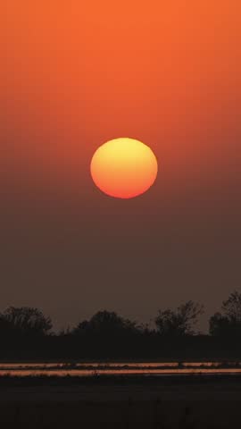Dramatic silhouette of a flock of birds flying across a giant glowing sun during a spectacular vibrant orange sunset over a dark tranquil wetland landscape.