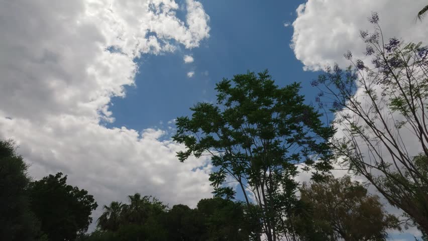 Green trees and cloudy sky landscape