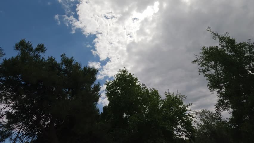 Green trees and cloudy sky landscape