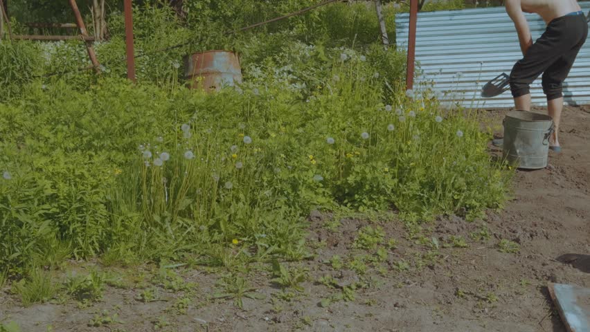 Weeding the ground, weeding the soil, clean the soil of weeds, remove weeds in the soil