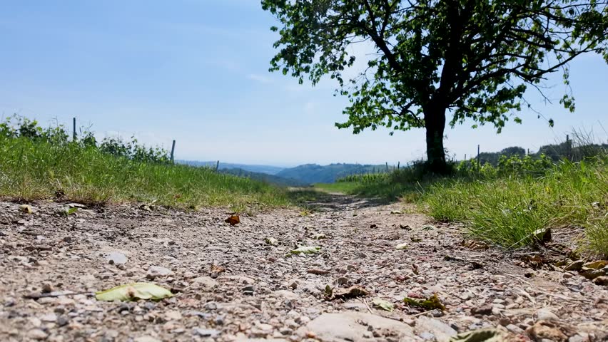 Static low angle shot of a rural dirt road leading toward rolling hills and trees