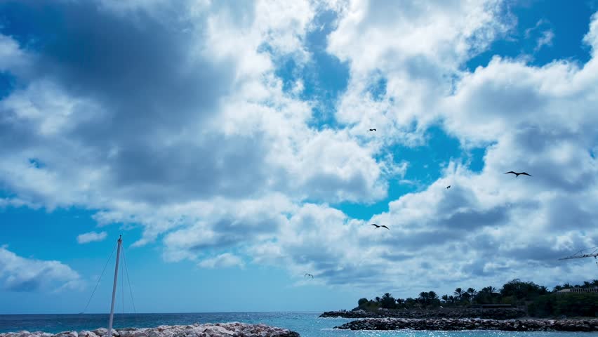 Slow motion frigate birds flying over the turquoise waters of Curacao under a blue sky.