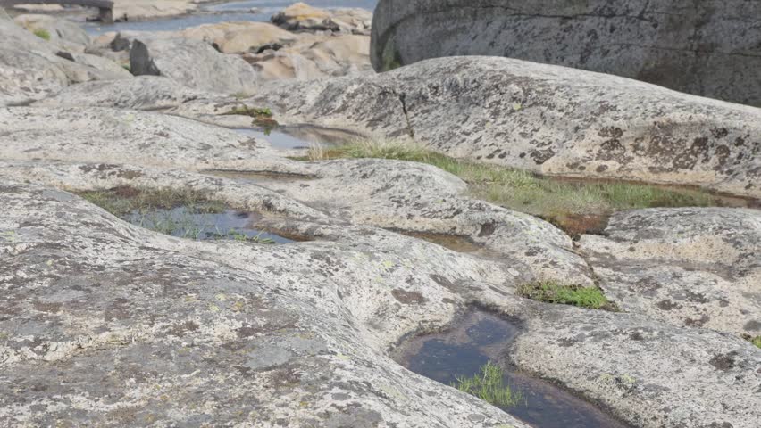 Weathered granite bedrock surface with small pools of still water settled in natural depressions. Tufts of green grass grow from rock crevices around the edges of dark tarns.