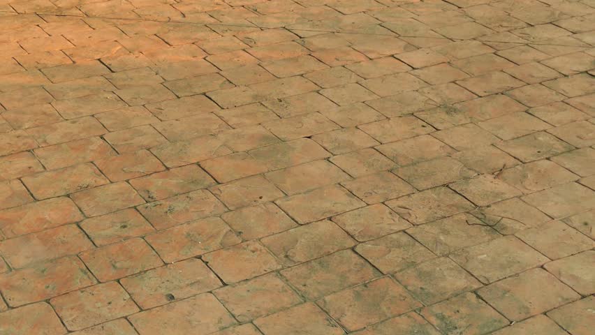 Stamped concrete road, in a park