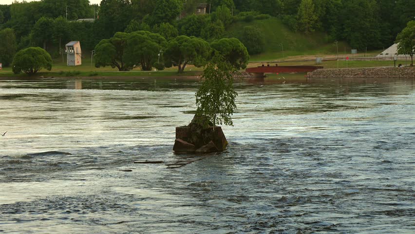 Slow panoramic shot of a river flow showing a small rocky island with a birch tree, a red pedestrian bridge and lush green trees on the park bank.