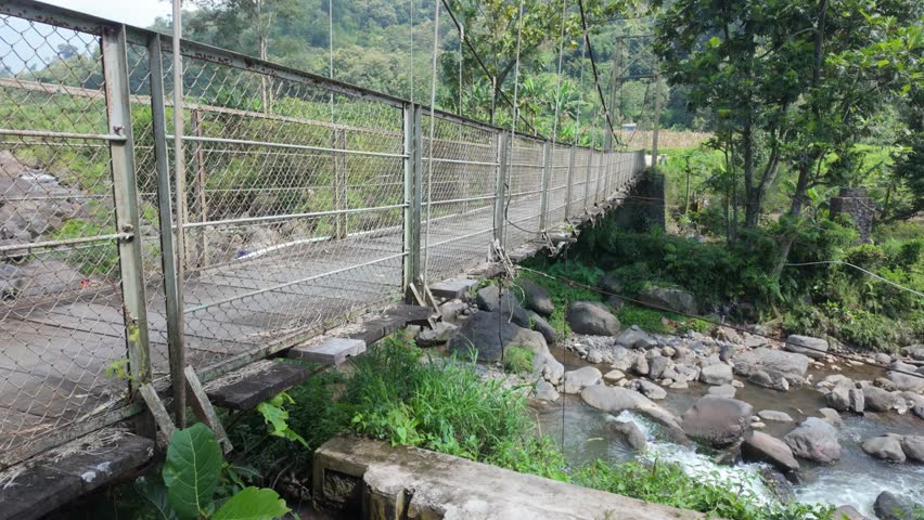 Scenic view of a wire fence bridge spanning a clear stream surrounded by lush greenery