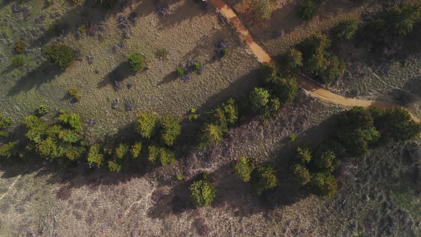Top Down Aerial View Of Forested Hillside Trails Near Helena Montana