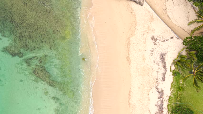 Top-down drone view of amazing tropical sandy beach meeting crystal-clear emerald green Pacific water with lush greenery on the shoreside, Honolulu, Hawaii