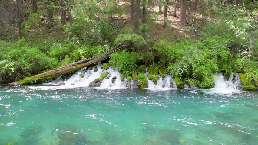 Metolius River Springs Flowing Beneath Fallen Log Near Wizard Falls Oregon