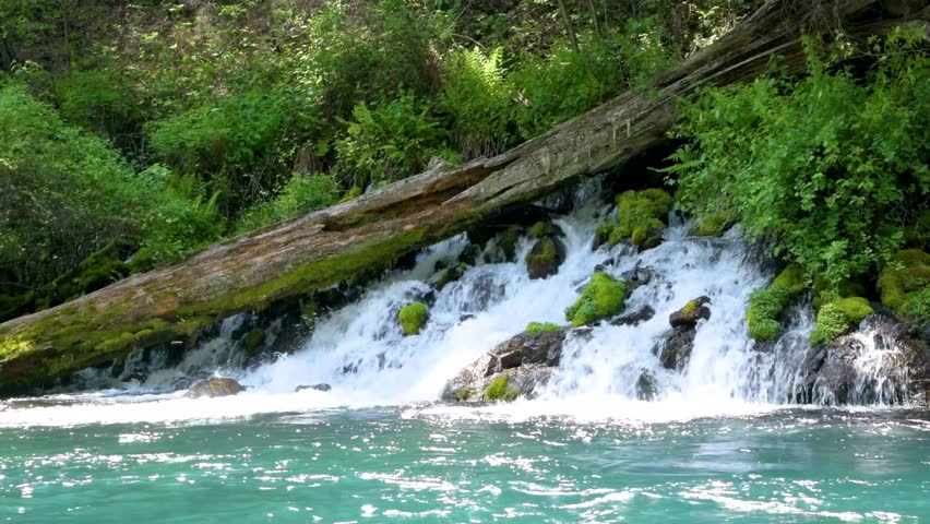 Metolius River Springs Flowing Beneath Fallen Log Near Wizard Falls Oregon