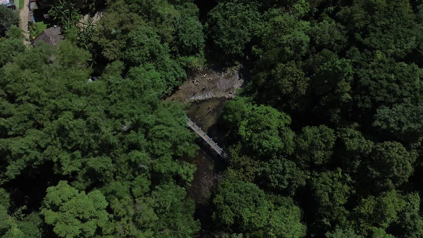 Rainforest meets the ocean in Brazil