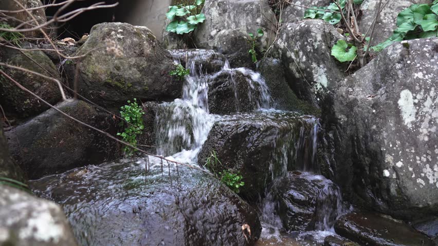 A small beautiful waterfall flowing down cascades of dark rocks into a river in a peaceful forest